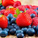 Bunte Fruchtauslese