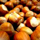 Nussallergie