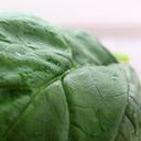 Vitamin B11