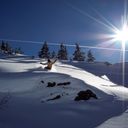 Snowboarden