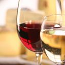 Merlot Delle Venezie