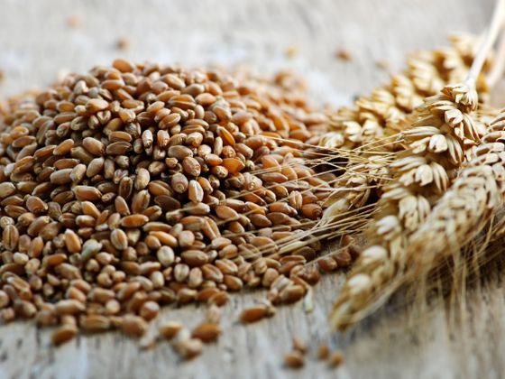 Prodotti a base di cereali