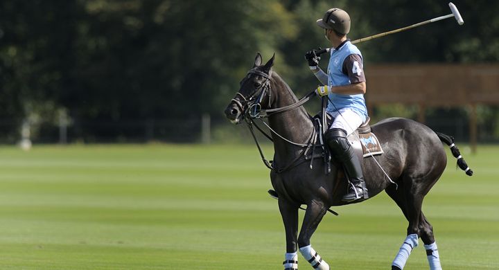 Polo ist ein auf Pferden betriebener Sport. Die Spieler müssen einen Helm mit Gesichtsschutz tragen, um Verletzungen zu vermeiden.