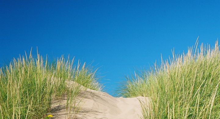 Im Sommerurlaub sollte stets auf einen ausreichenden Sonnenschutz geachtet werden.