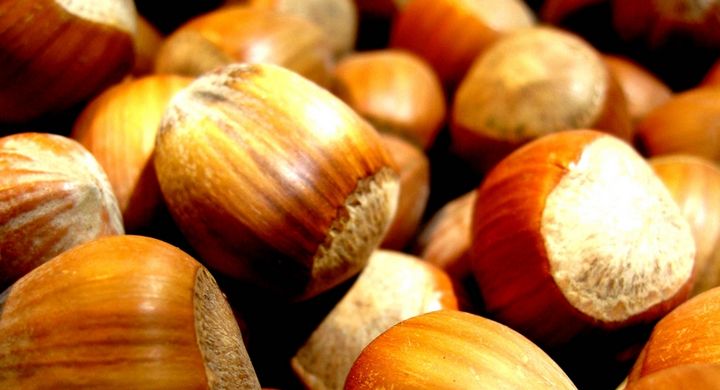 Haselnüsse sind ein gern gegessener Snack. SIe enthalten allerdings sehr viel Fett und somit auch eine hohe Anzahl an Kalorien.