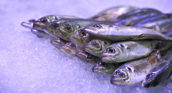 Fisch ist nicht nur ein beliebtes Essen, sondern auch, durch seine natürlichen Inhaltsstoffe, ein besonders gesundes Nahrungsmittel.