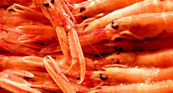 Meeresfrüchte schmecken nicht nur besonders gut, sondern sind auch reich an Omega-3-Fettsäuren und halten somit undere Blutgefäße gesund.