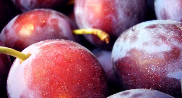 Pflaumen enthalten nicht nur besonders wertvolle Mineralstoffe und Vitamine, sondern können auch bei gesundheitlichen Problemen wie Verstopfungen helfen.