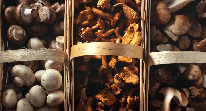 Pilze schmecken nicht nur besonders gut, sondern sind auch noch ein idealer Lieferant für Spurenelemente und Mineralstoffe.