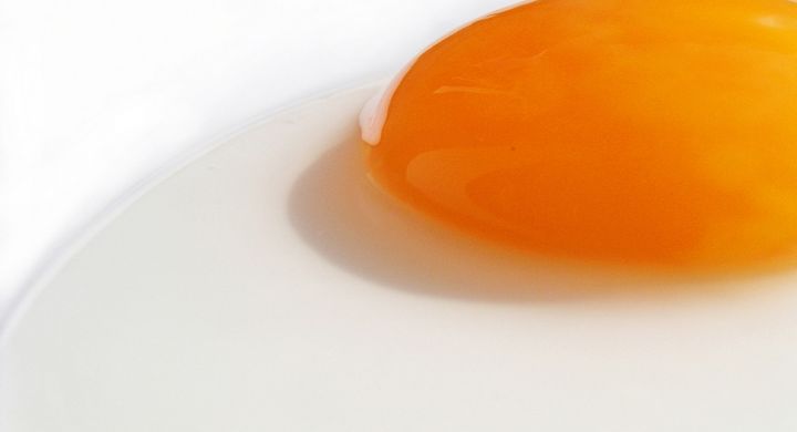 Achtung vor rohen Eiern! Anders als all zu oft behauptet sind diese nämlich gar nicht so gesund. Sie können nämlich Verdauungsprobleme hervorrufen.