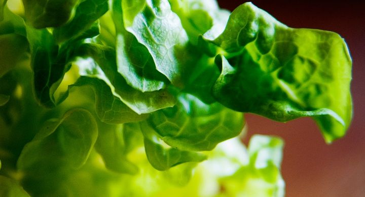 Grünes Gemüse soll die Sehkraft schärfen. Durch seine Stoffe Lutein und Zeaxanthin soll das Gemüse die Sehkraft schützen können.