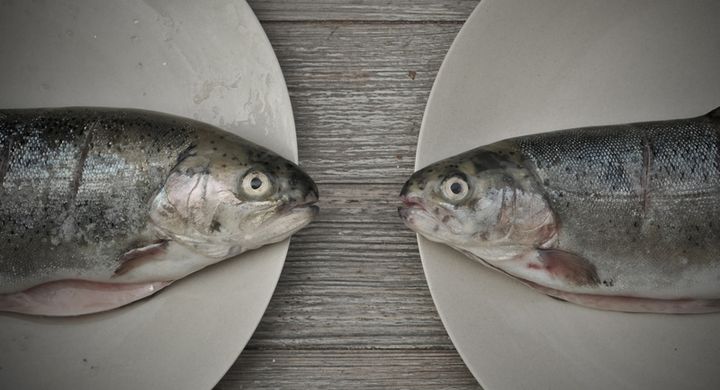 Omega-3-Fettsäuren halten die Blutgefäße elastisch und sauber. Somit verkalken die Gefäße nicht und der Körper wird vor Schlaganfällen und Demenz geschützt.