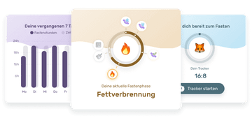 Detaillierte Einblicke